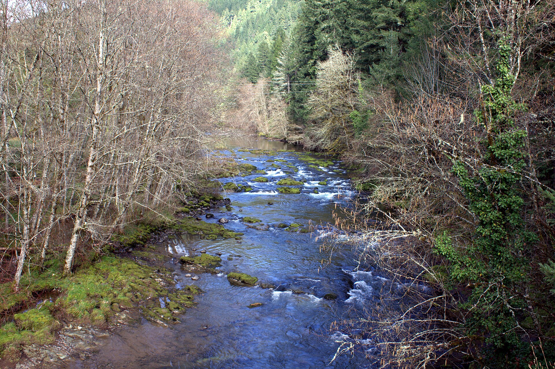 Blue River, Lane County, Oregon