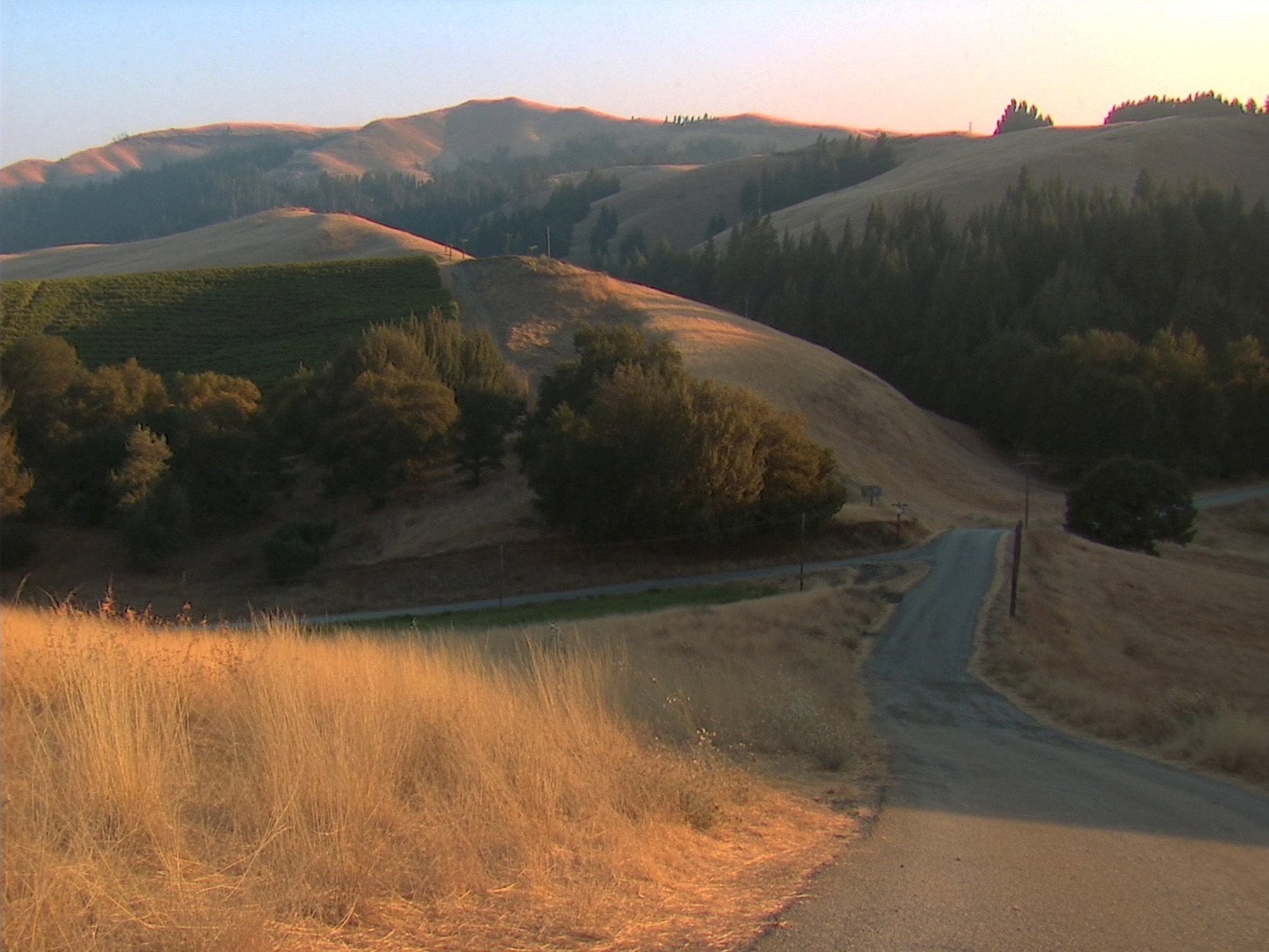 Lorane, Lane County, Oregon