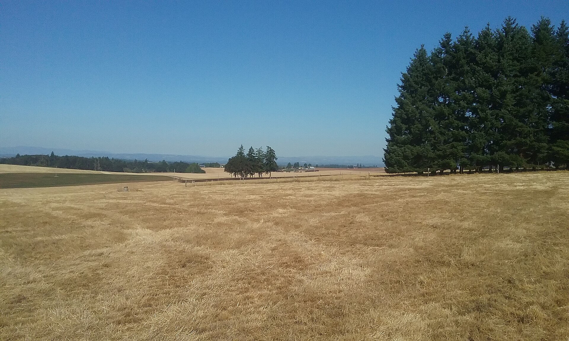 Rural & Acreage Property in Lane County, Oregon
