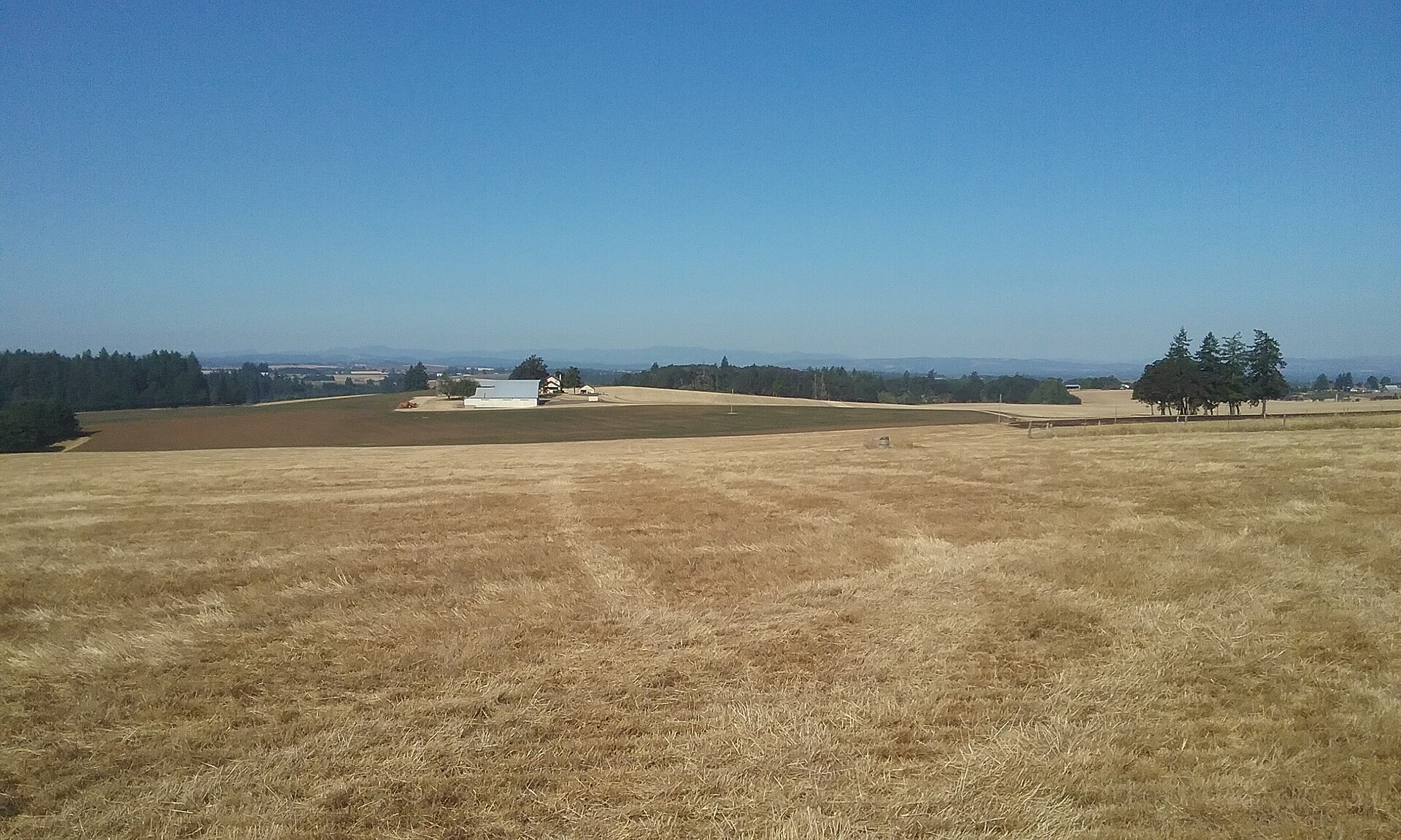 Wells and Septic Systems: A Plain-English Guide for Lane County