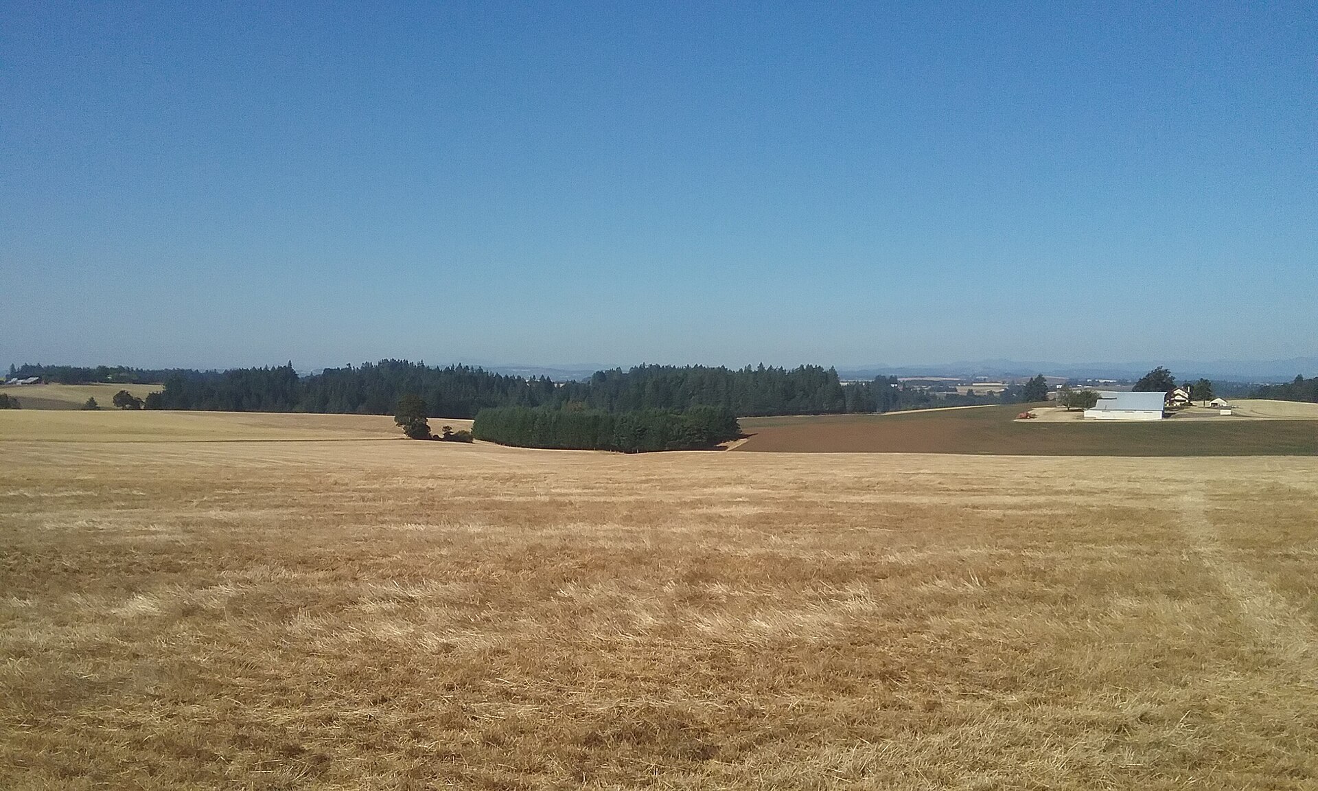 USDA Loans in Lane County: Zero Down in the Right Areas